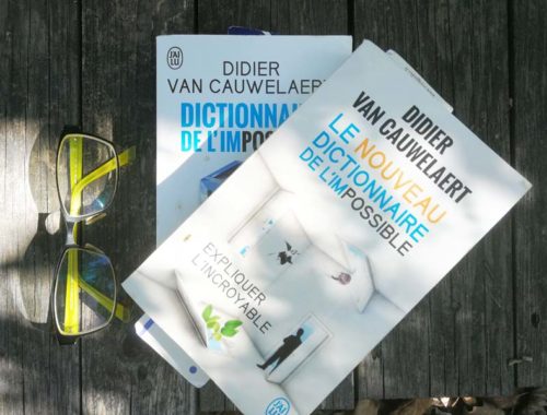 Dictionnaire de l'impossible - Didier Van Cauwelaert
